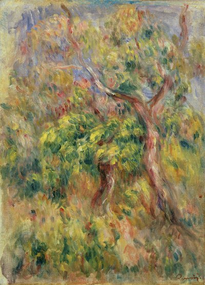 Bäume, 1915-16 von Pierre Auguste Renoir